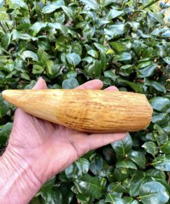 Sperm Whale Teeth for Sale